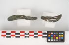 Foto von Bronzering (NHMW-PRAE-026327)